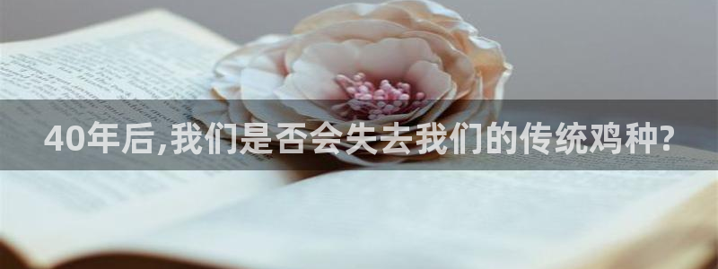 jdb电子主管：40年后,我们是否会失去我们的传统鸡种?