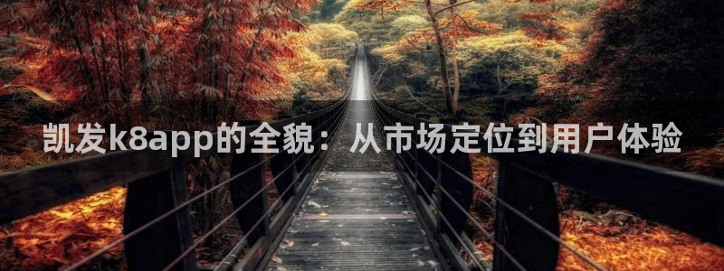 jdb电子体育凯捷平台招商：凯发k8app的全貌：从市场定位到用户体验