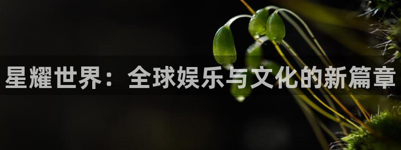 jdb电子游戏有哪些好玩的：星耀世界：全球娱乐与文化的新篇章