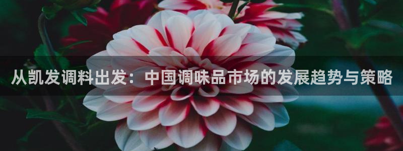 jdb电子集团官网：从凯发调料出发：中国调味品市场的发展趋势与策略