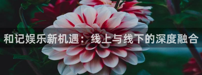 jdb电子体育注册代理：和记娱乐新机遇：线上与线下的深度融合