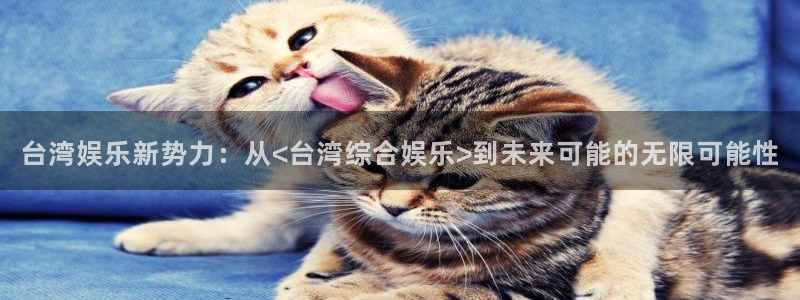 jdb电子体育平台开号链接：台湾娱乐新势力：从<台湾综合娱乐>到未来可能的无限可能性