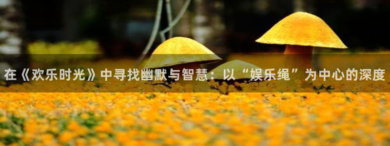 jdb电子4平台：在《欢乐时光》中寻找幽默与智慧：以“娱乐绳”为中心的深度