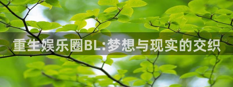 jdb电子体育娱乐注册链接：重生娱乐圈BL:梦想与现实的交织