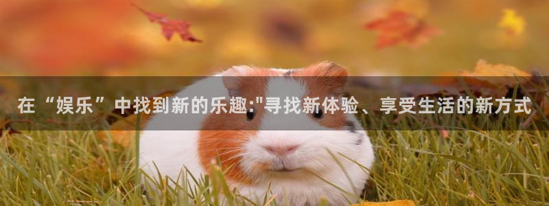 jdb电子体育凯捷平台招商：在“娱乐”中找到新的乐趣:\