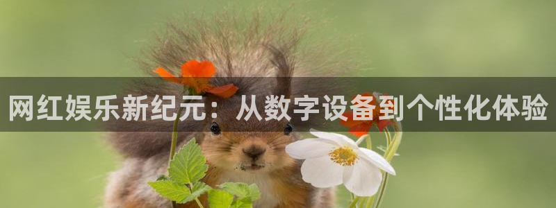 jdb电子体育平台总代理：网红娱乐新纪元：从数字设备到个性化体验