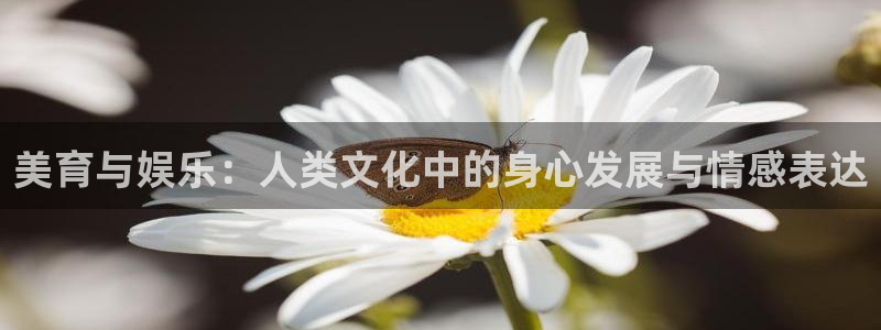 jdb电子体育凯捷平台代理：美育与娱乐：人类文化中的身心发展与情感表达