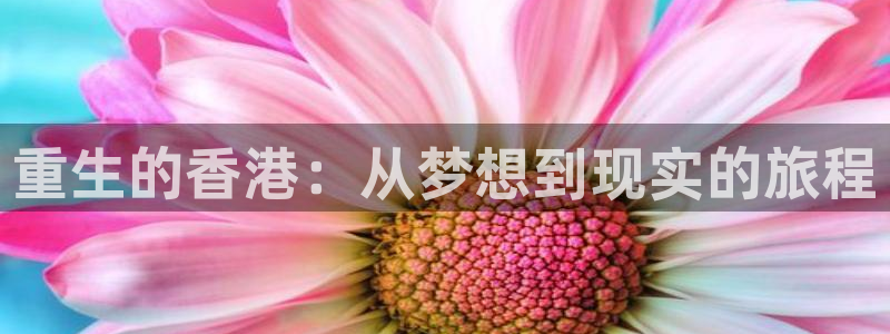 jdb电子体育平台总代理：重生的香港：从梦想到现实的旅程