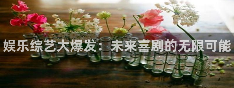 jdb电子代理注册官网入口：娱乐综艺大爆发：未来喜剧的无限可能