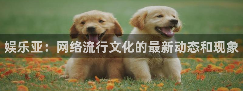 jdb电子4登录：娱乐亚：网络流行文化的最新动态和现象