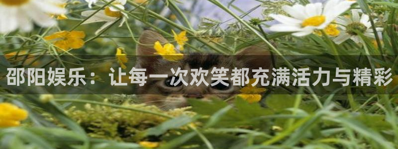 jdb电子体育凯捷代理注册：邵阳娱乐：让每一次欢笑都充满活力与精彩