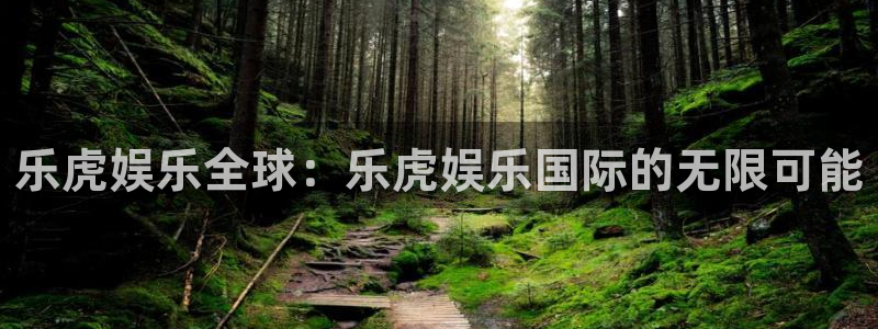 jdb电子注册：乐虎娱乐全球：乐虎娱乐国际的无限可能